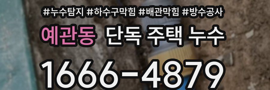 예관동 단독 주택 누수