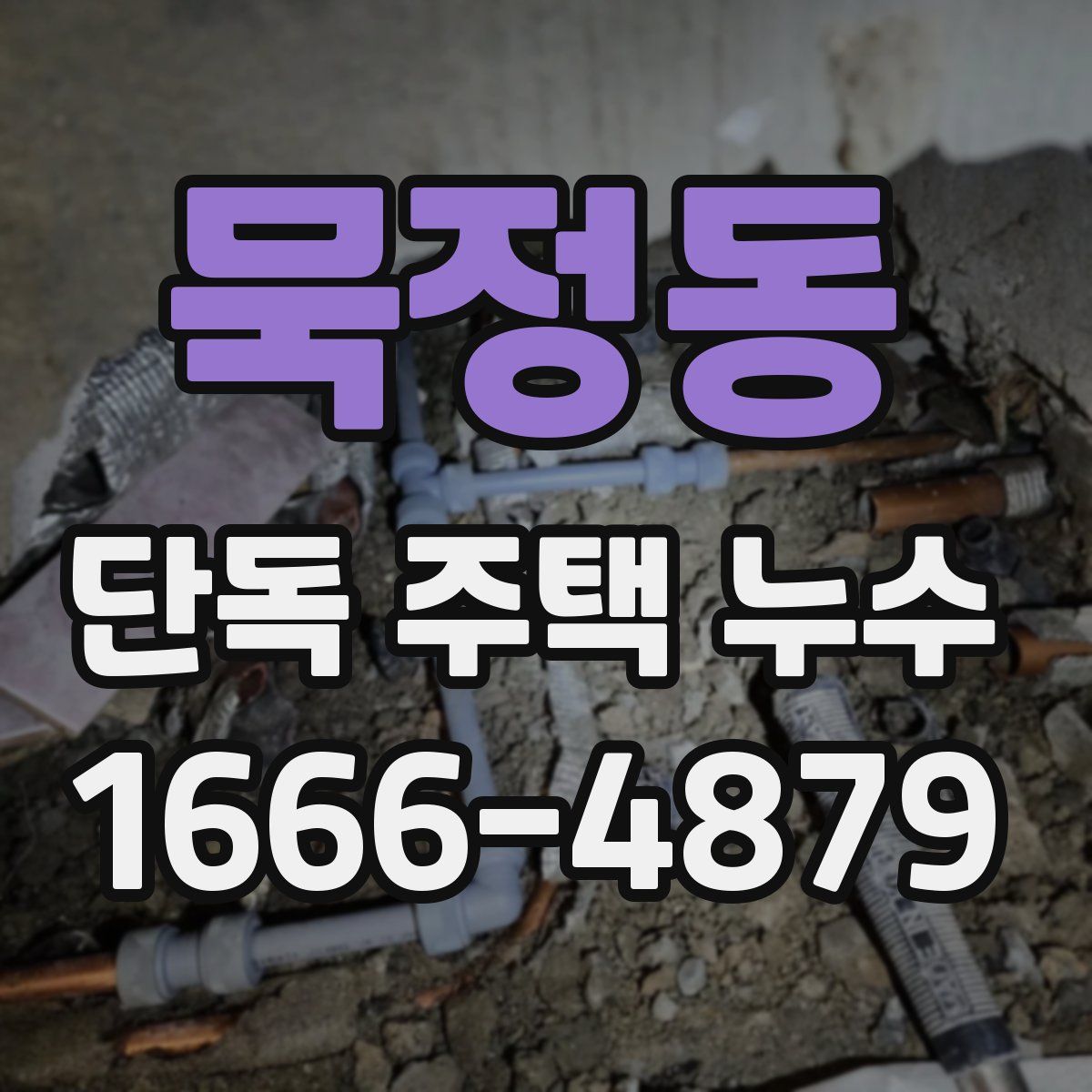 묵정동 단독 주택 누수