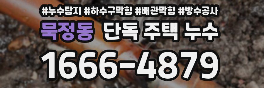 묵정동 단독 주택 누수