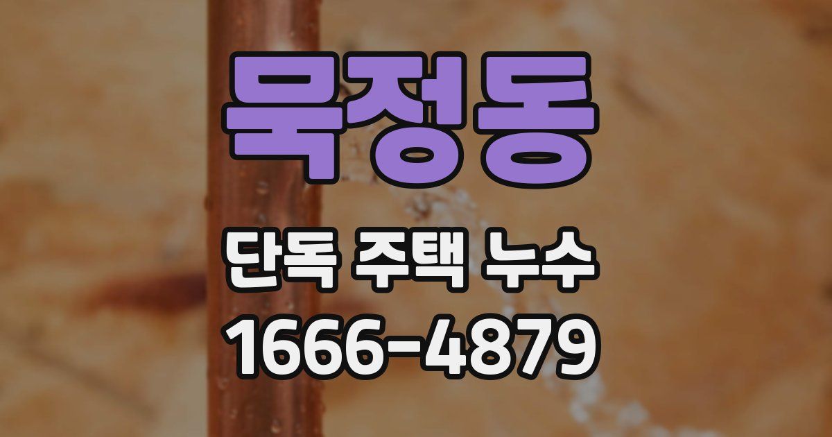 묵정동 단독 주택 누수