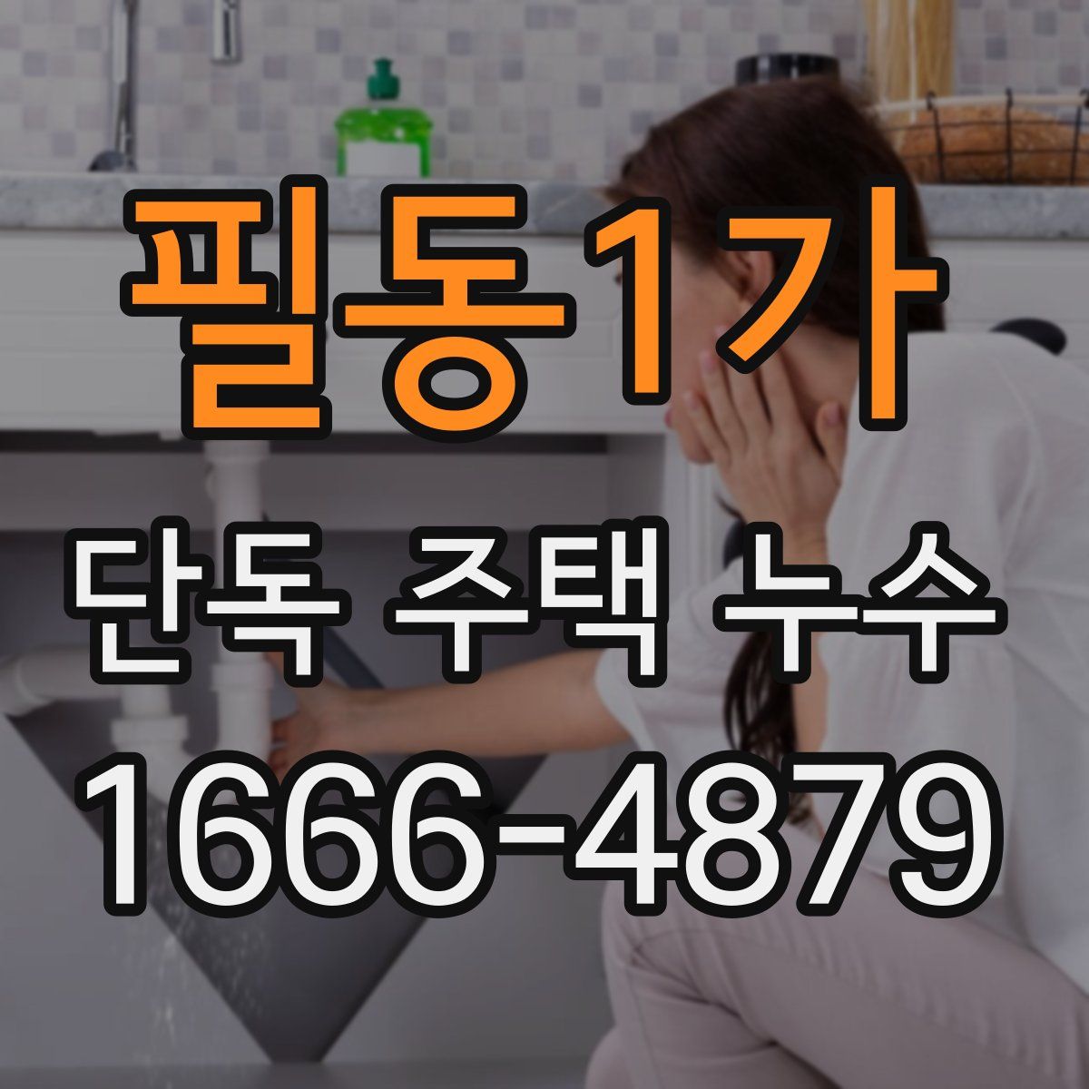 필동1가 단독 주택 누수
