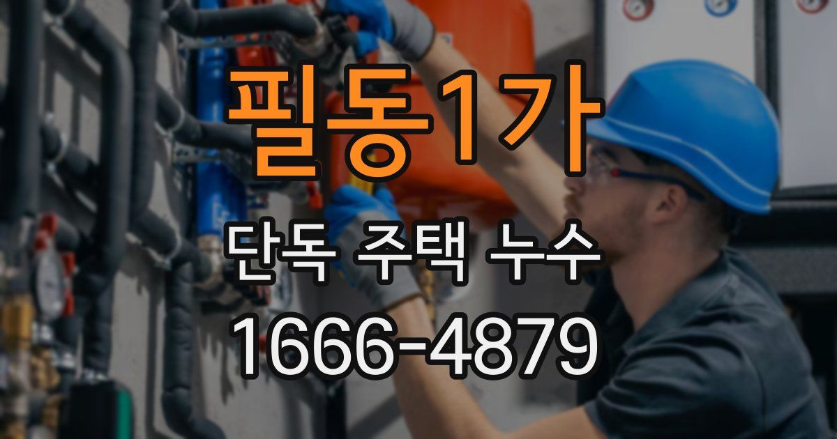 필동1가 단독 주택 누수