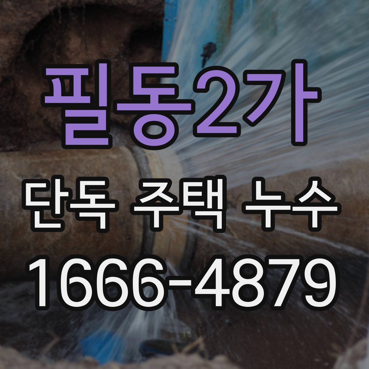 필동2가 단독 주택 누수