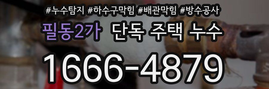 필동2가 단독 주택 누수