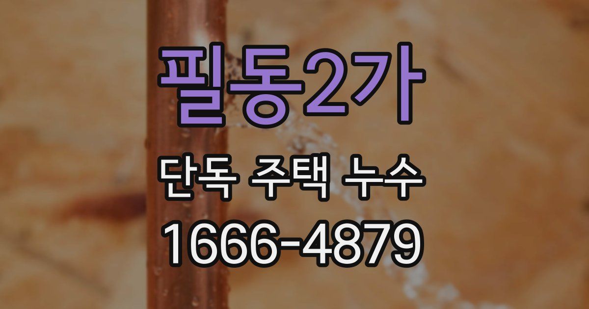 필동2가 단독 주택 누수