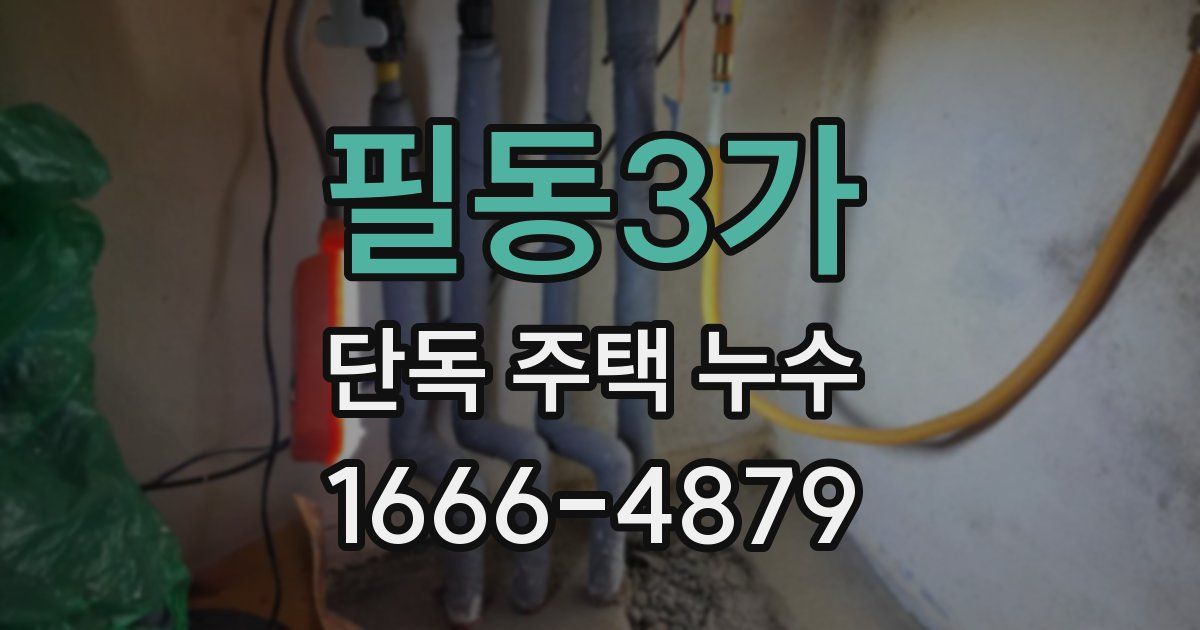 필동3가 단독 주택 누수