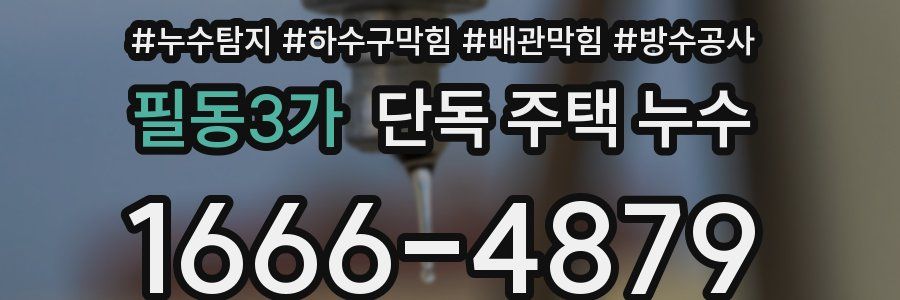 필동3가 단독 주택 누수