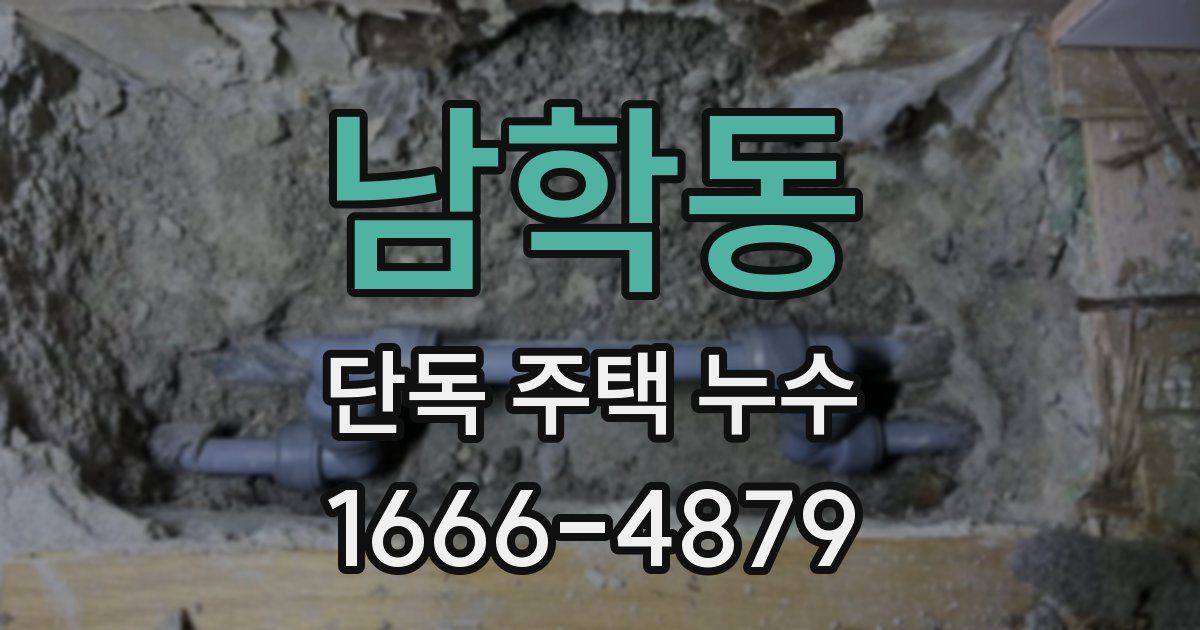 남학동 단독 주택 누수