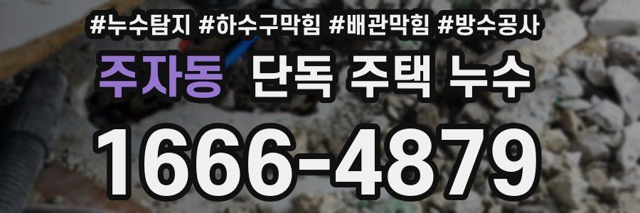 주자동 단독 주택 누수
