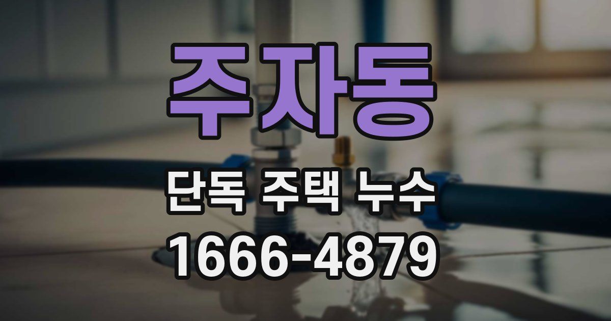 주자동 단독 주택 누수
