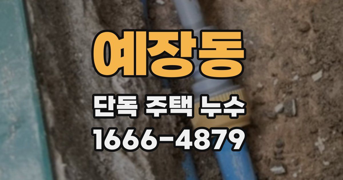 예장동 단독 주택 누수
