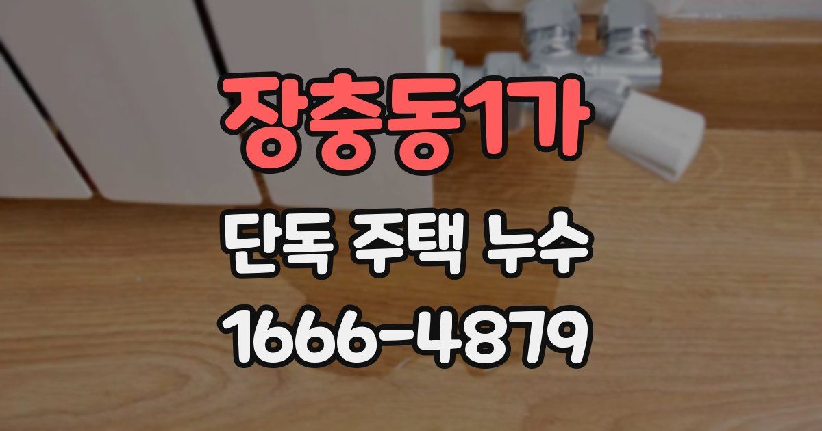 장충동1가 단독 주택 누수