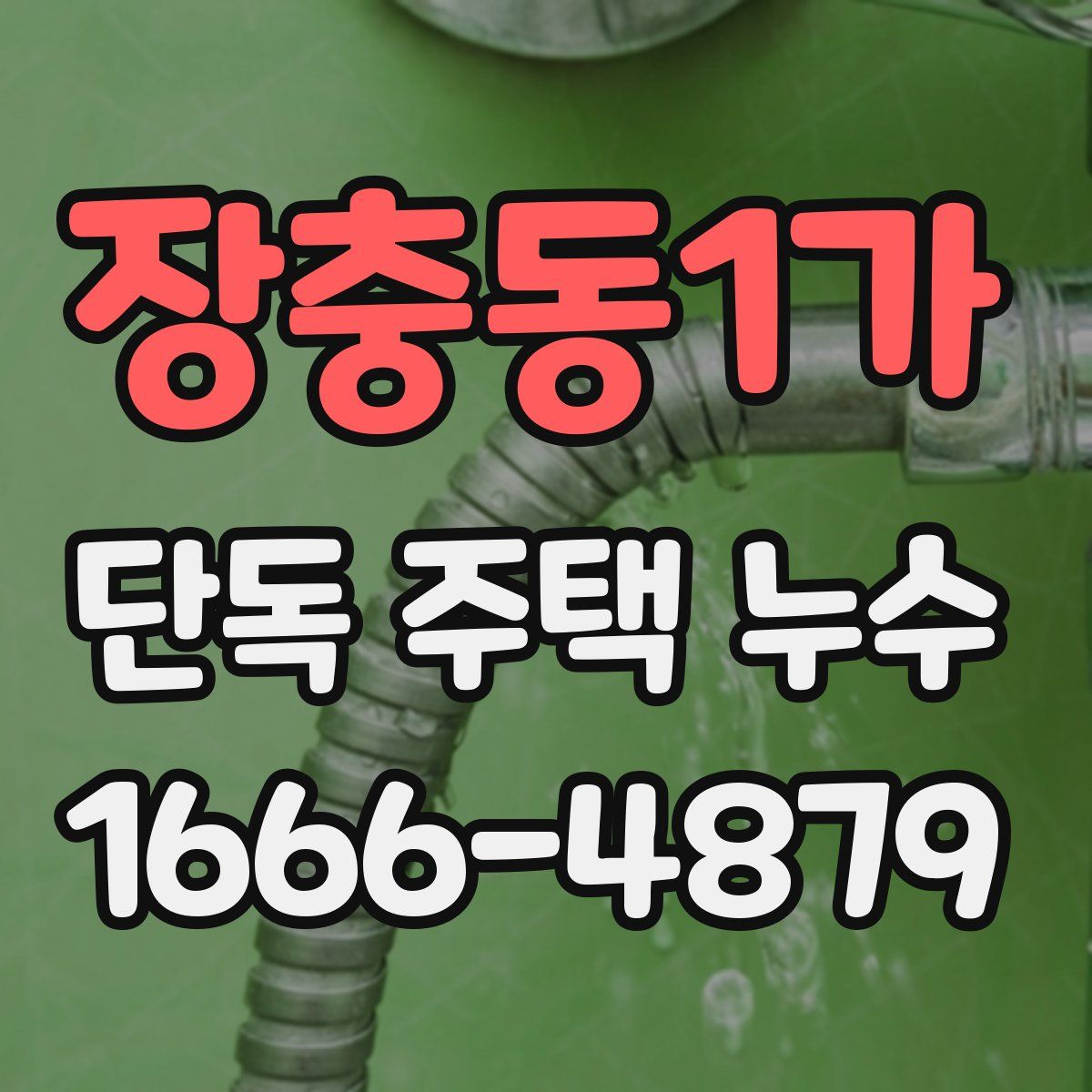 장충동1가 단독 주택 누수
