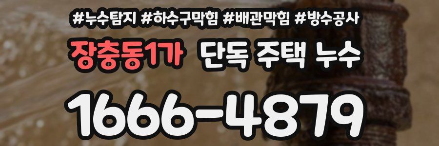 장충동1가 단독 주택 누수