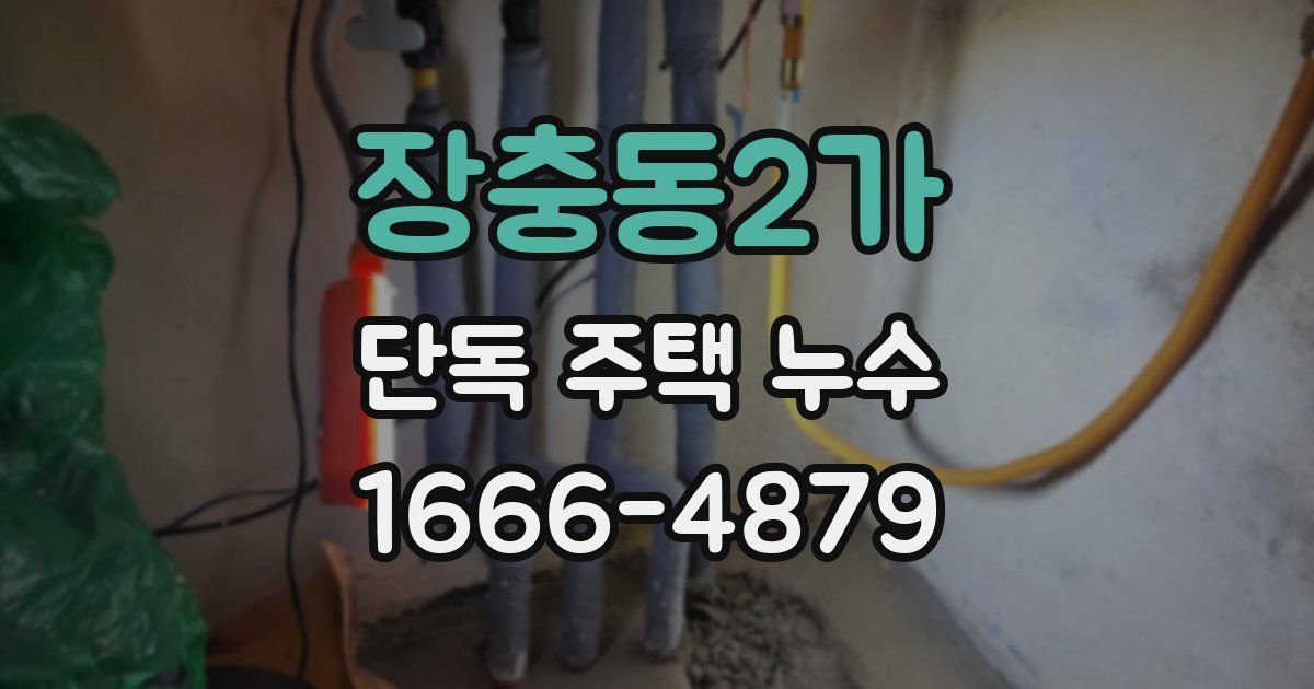 장충동2가 단독 주택 누수