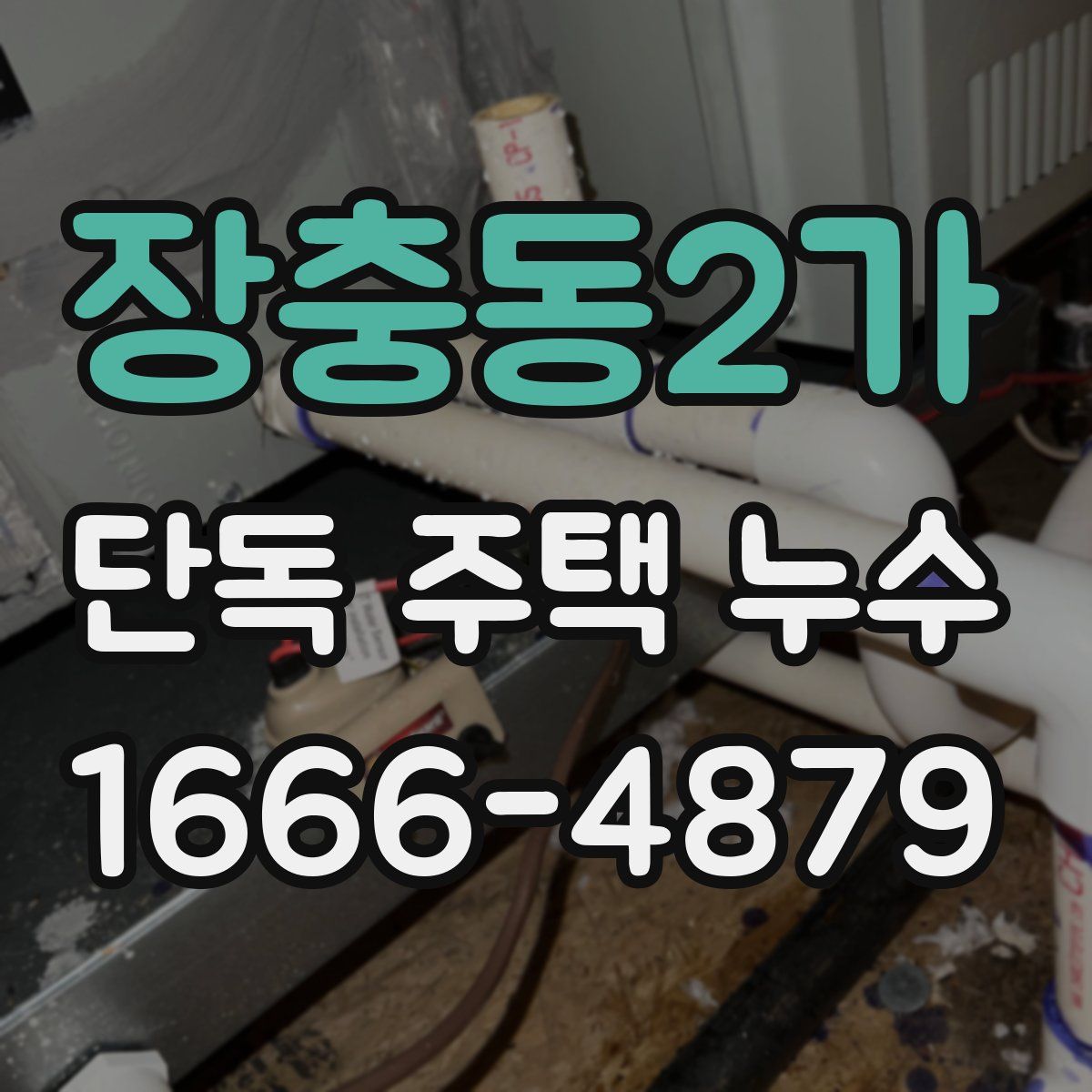 장충동2가 단독 주택 누수