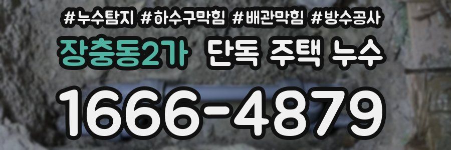 장충동2가 단독 주택 누수