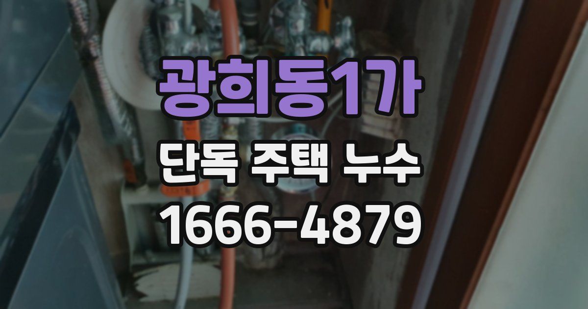 광희동1가 단독 주택 누수
