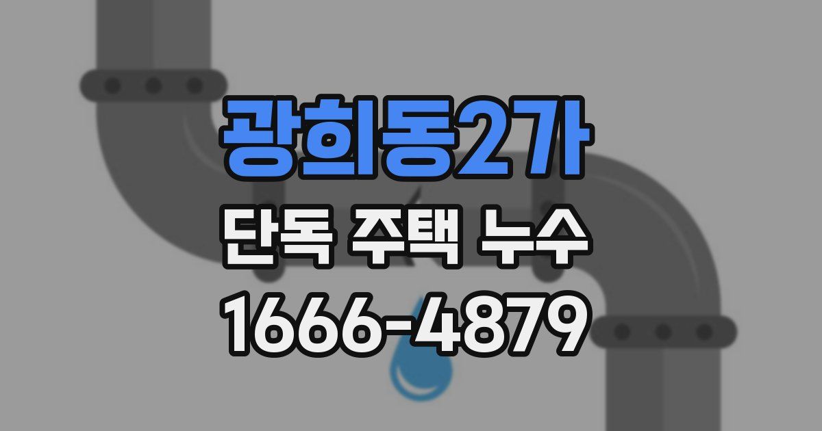 광희동2가 단독 주택 누수