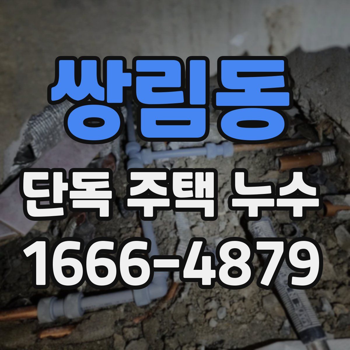 쌍림동 단독 주택 누수