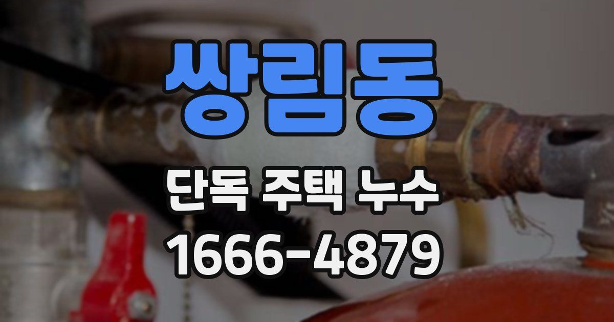 쌍림동 단독 주택 누수