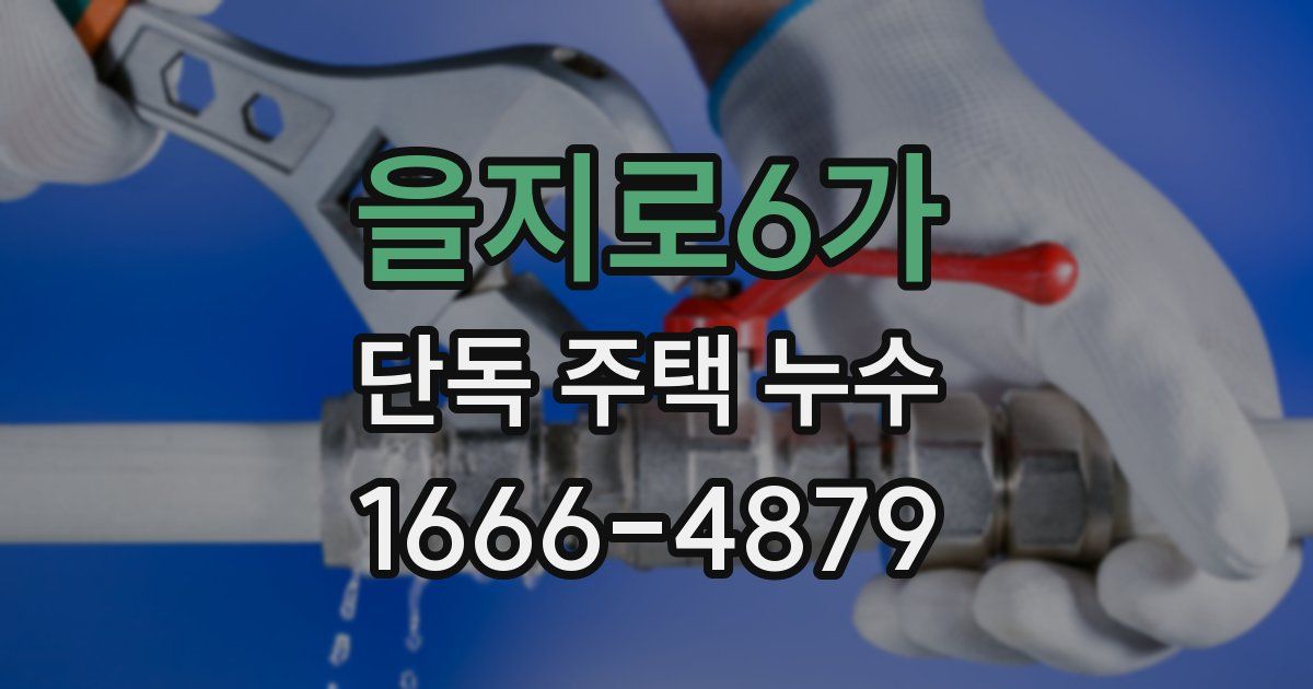 을지로6가 단독 주택 누수