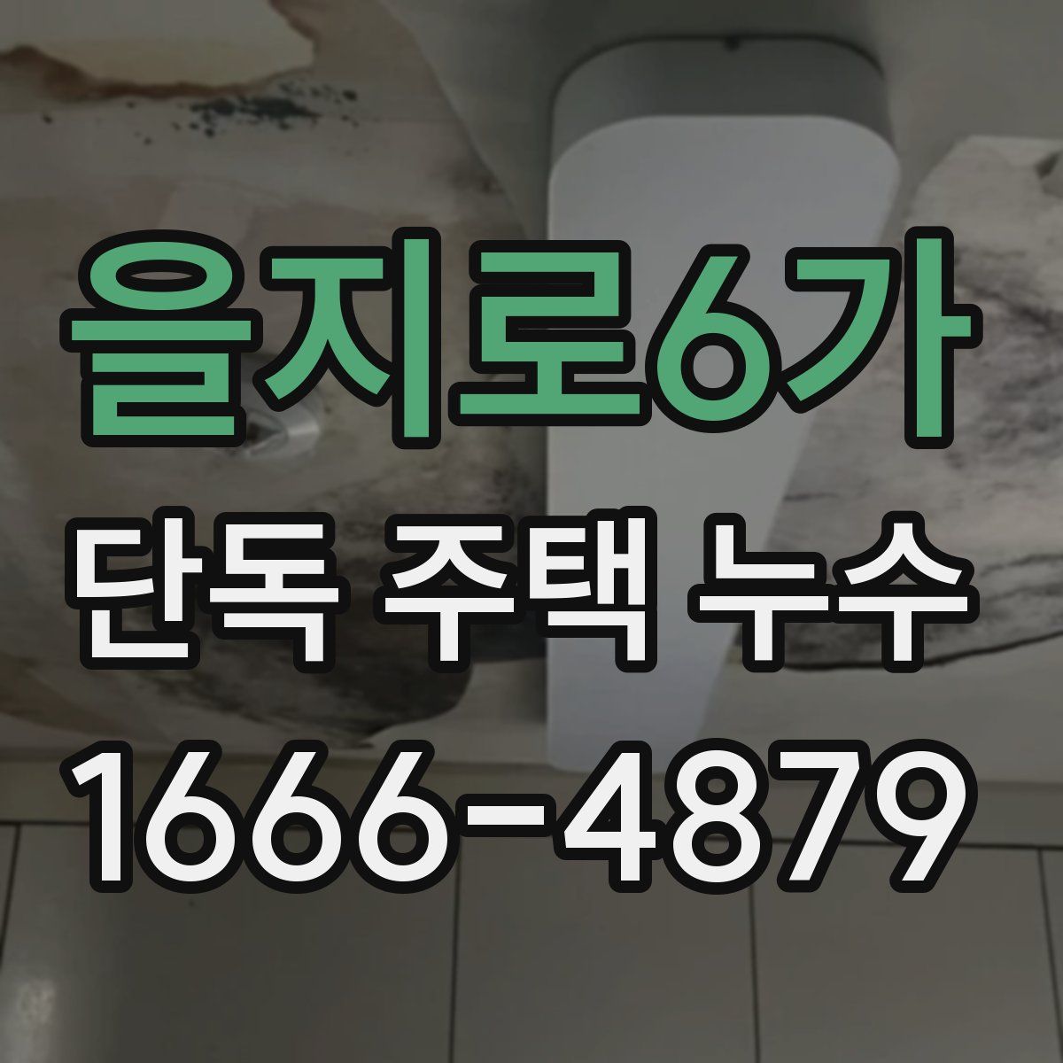 을지로6가 단독 주택 누수