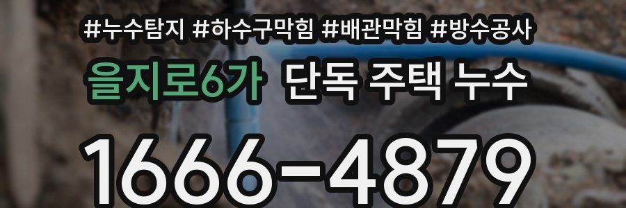 을지로6가 단독 주택 누수