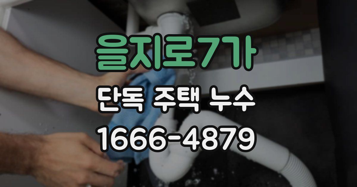 을지로7가 단독 주택 누수