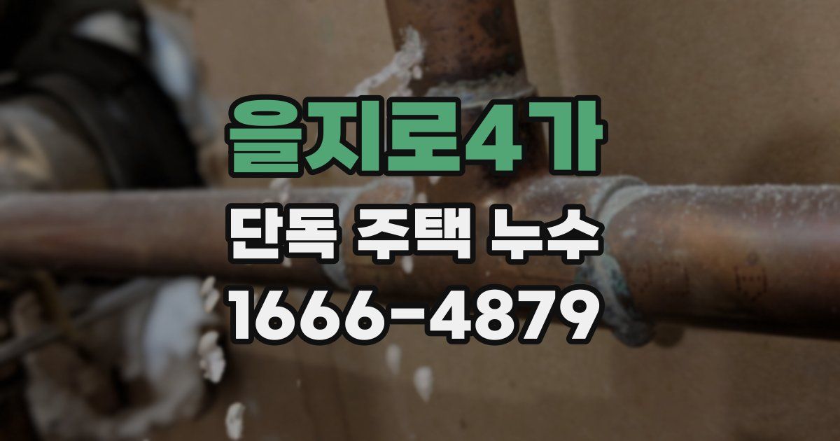 을지로4가 단독 주택 누수