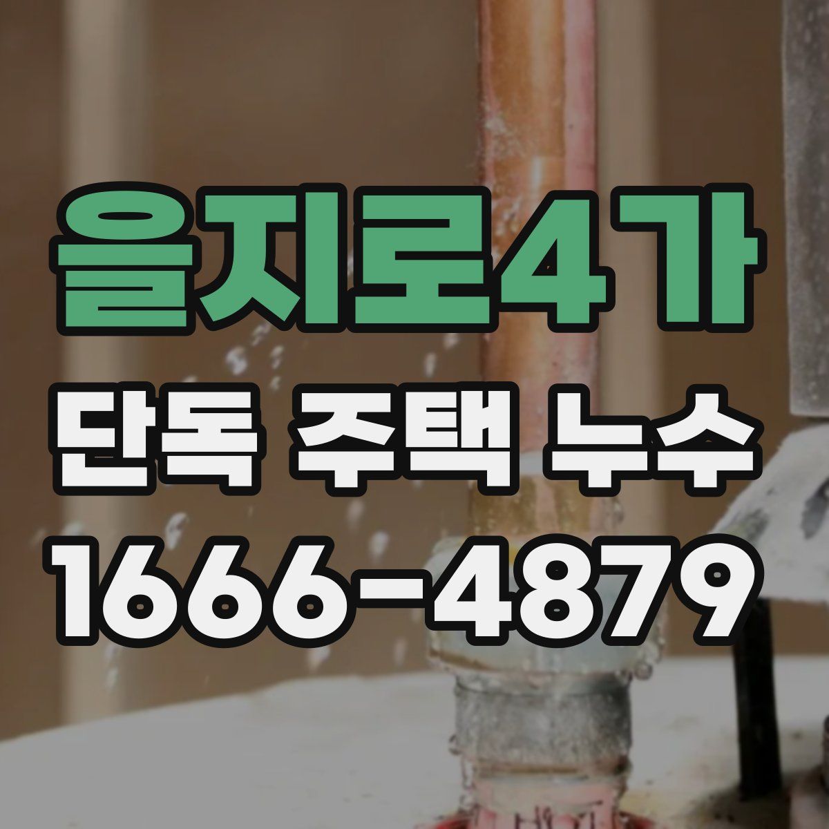을지로4가 단독 주택 누수