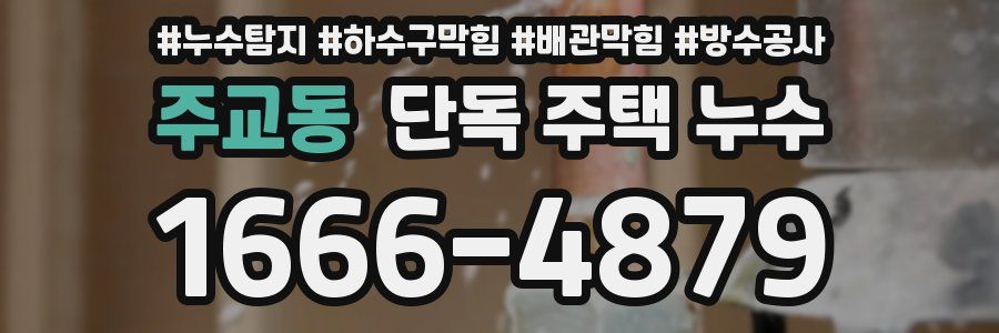주교동 단독 주택 누수