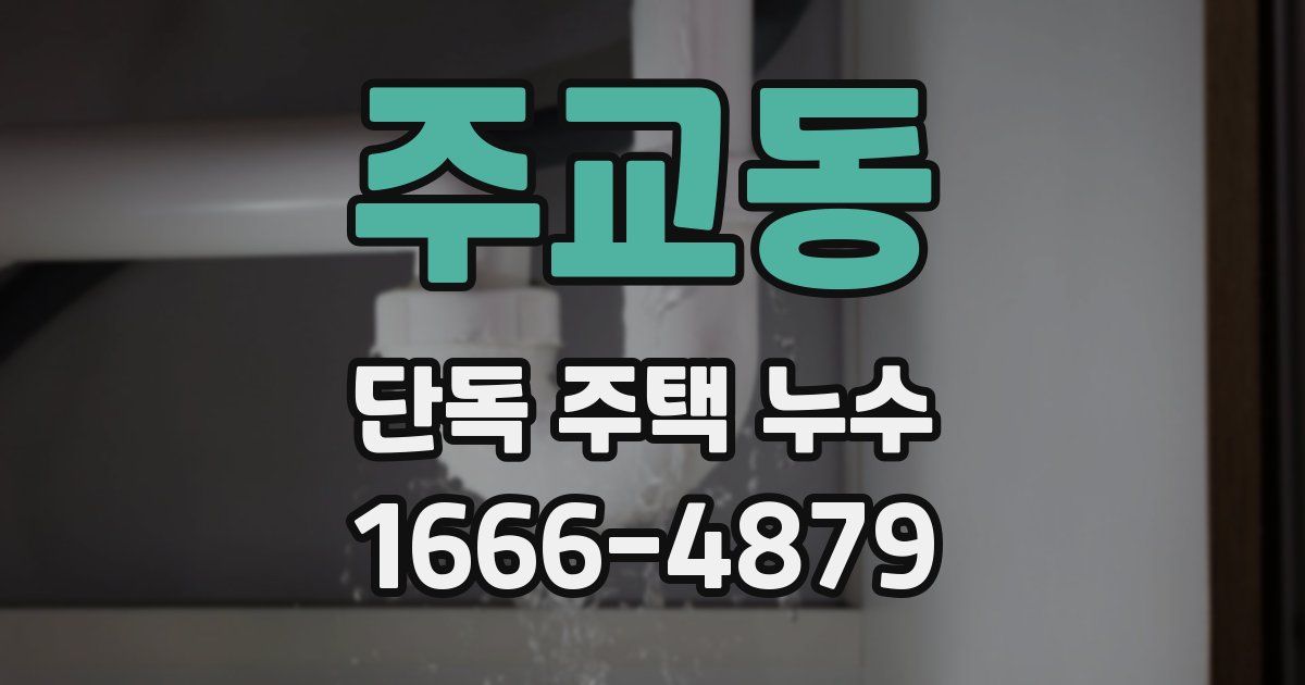주교동 단독 주택 누수