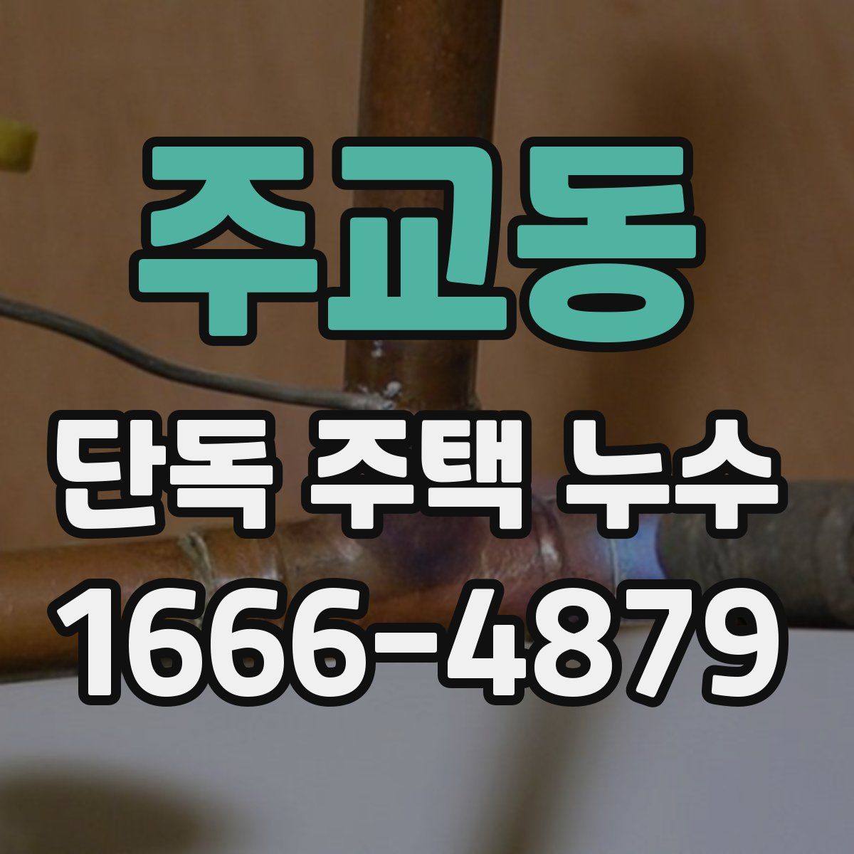 주교동 단독 주택 누수