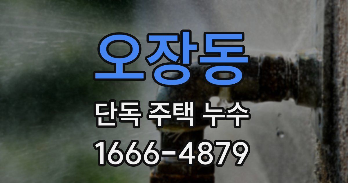 오장동 단독 주택 누수