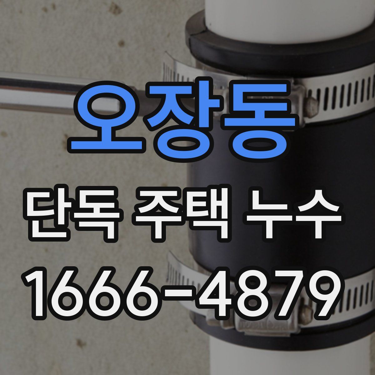 오장동 단독 주택 누수