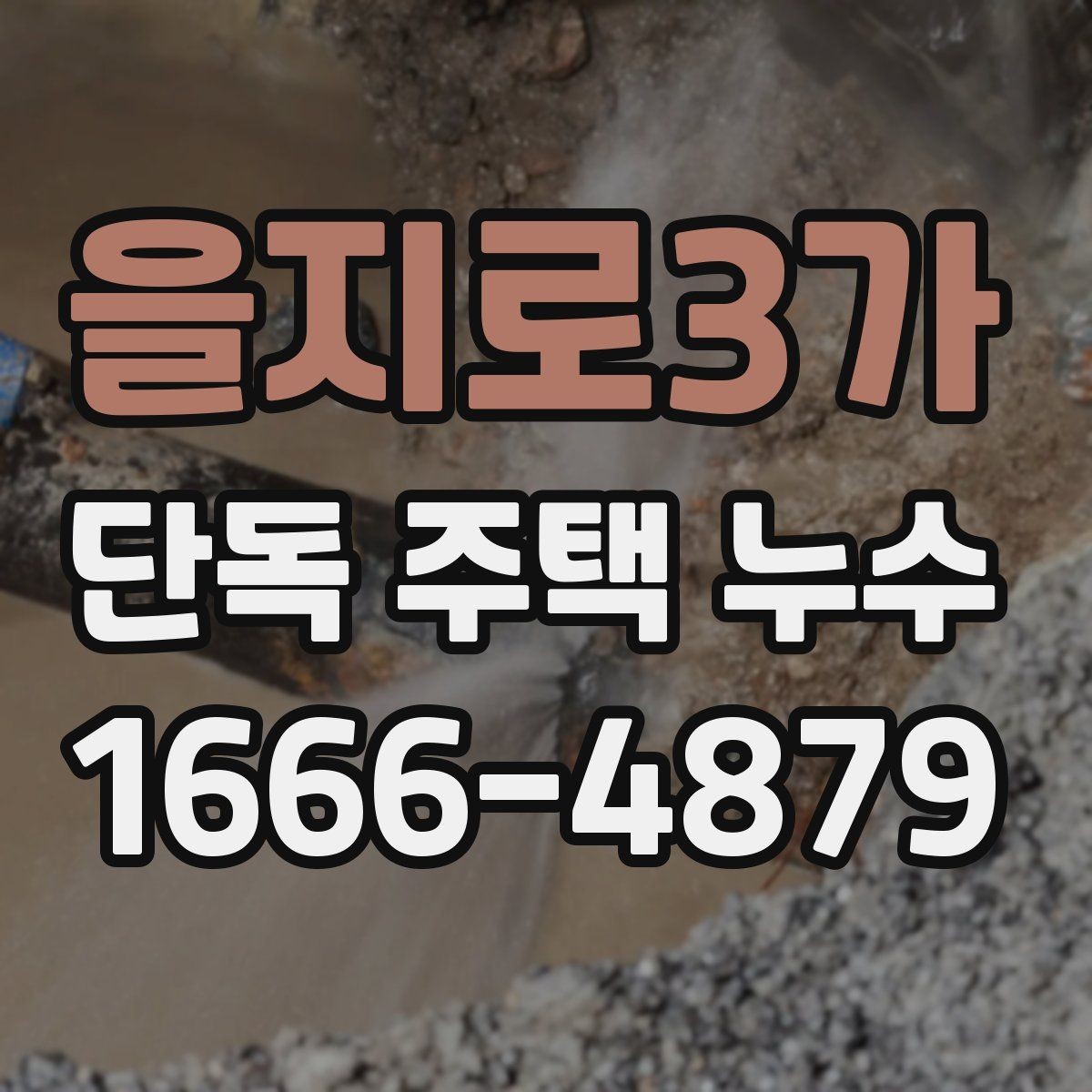 을지로3가 단독 주택 누수 지붕 방수 상태를 살피는 요령