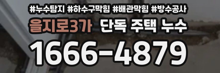 을지로3가 단독 주택 누수