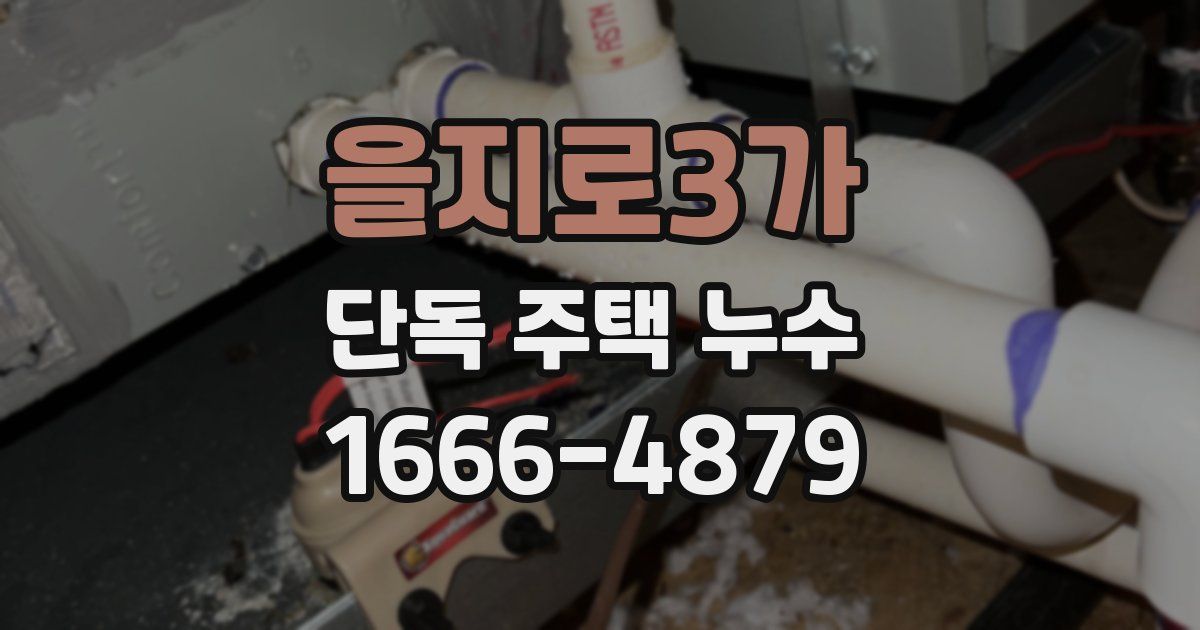 을지로3가 단독 주택 누수