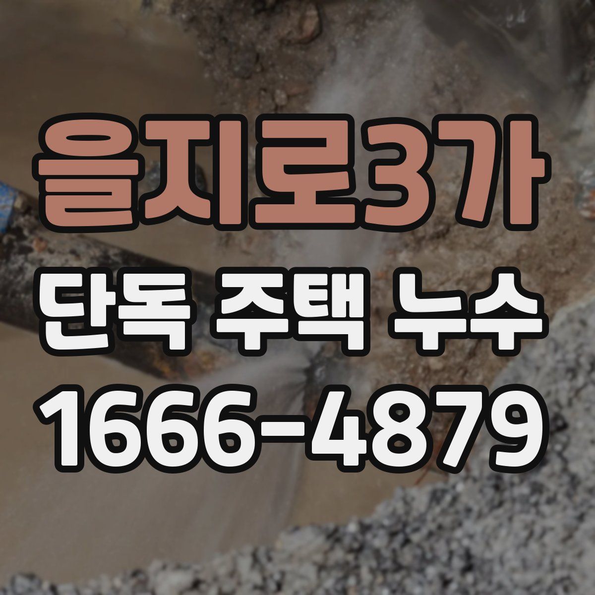 을지로3가 단독 주택 누수