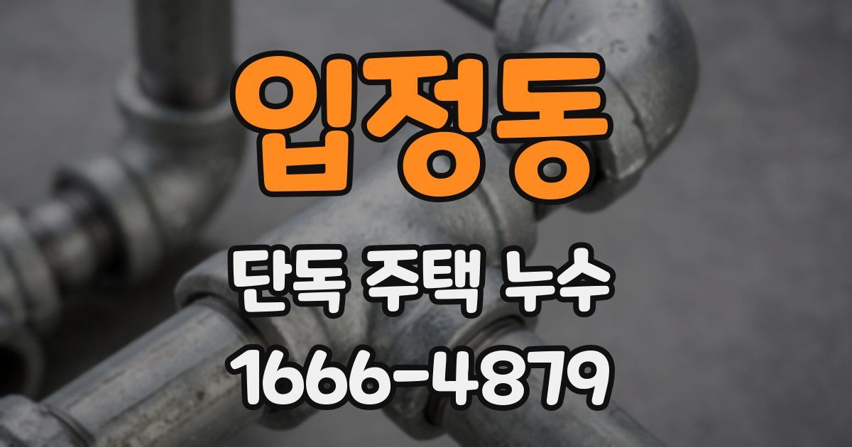 입정동 단독 주택 누수