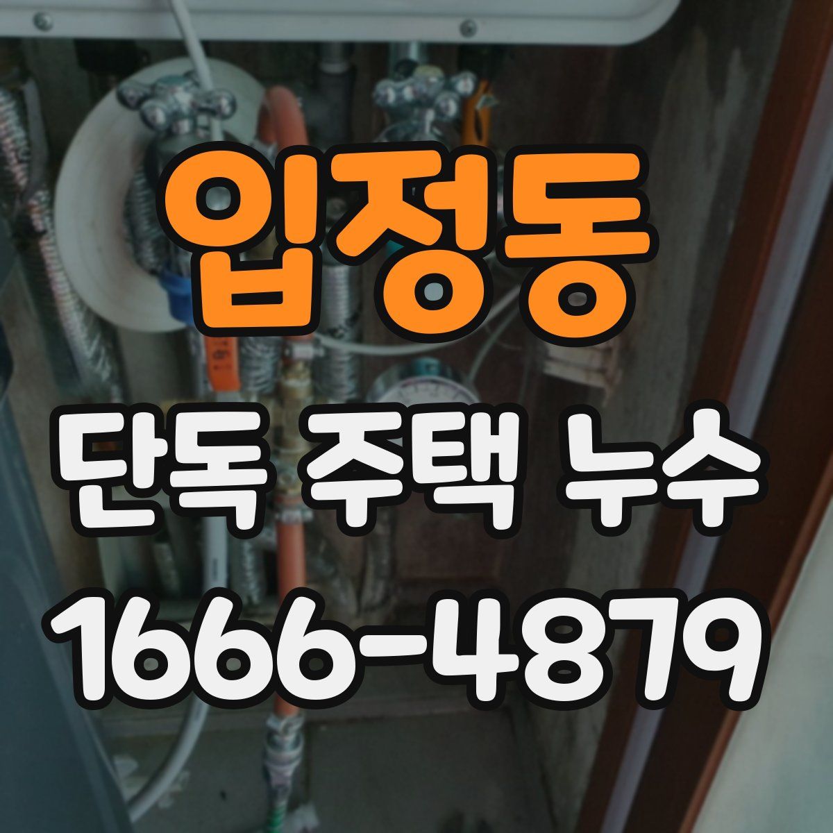입정동 단독 주택 누수
