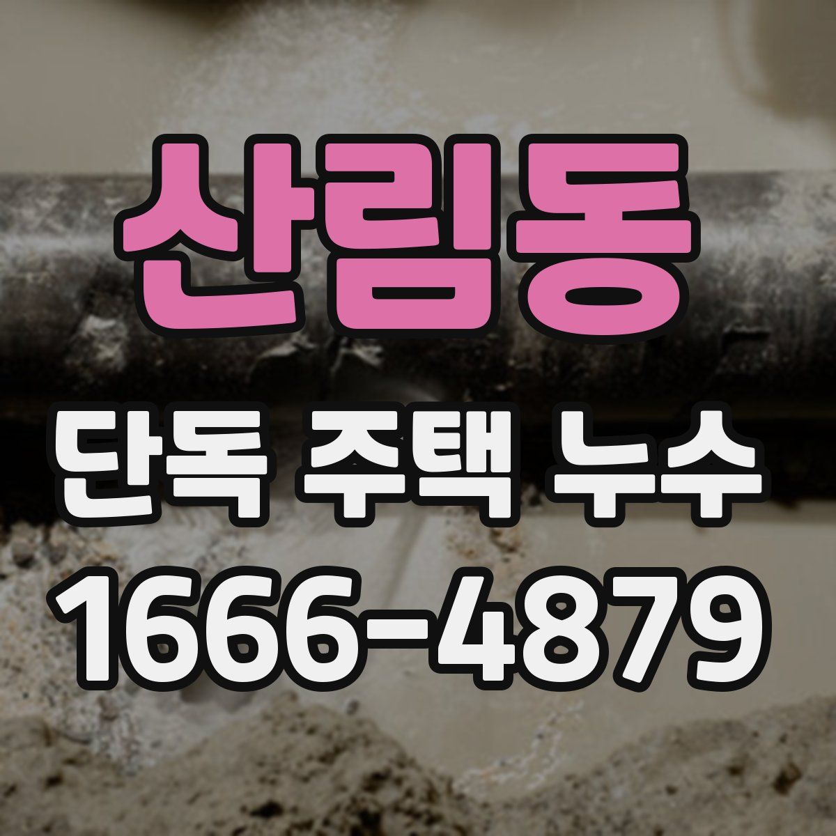 산림동 단독 주택 누수