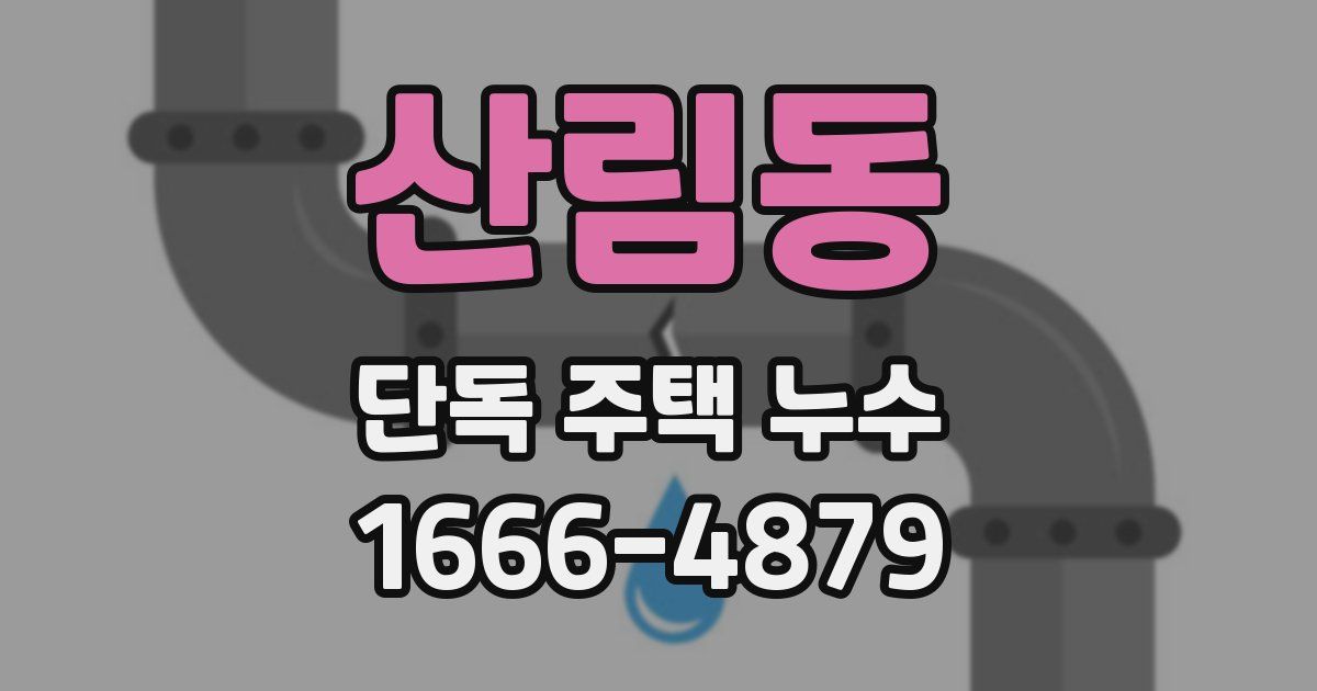 산림동 단독 주택 누수