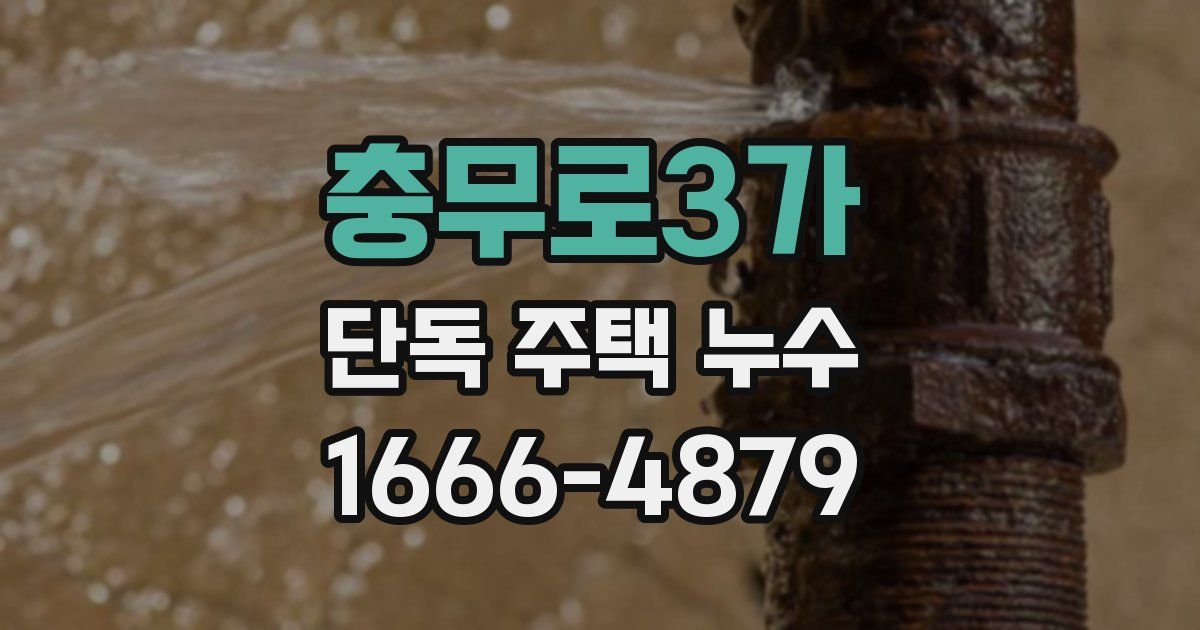 충무로3가 단독 주택 누수