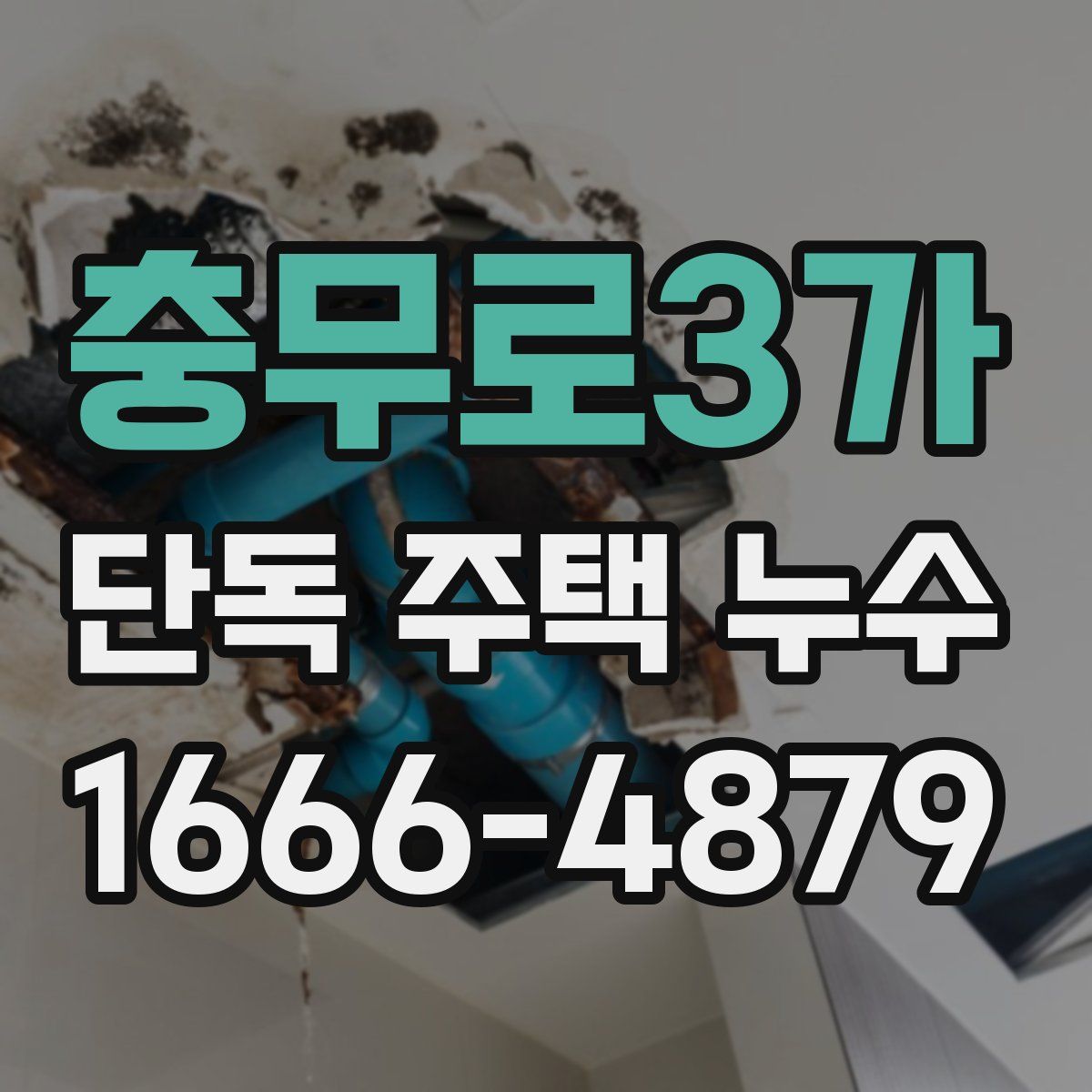 충무로3가 단독 주택 누수