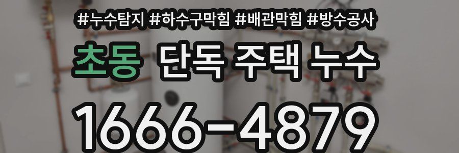 초동 단독 주택 누수