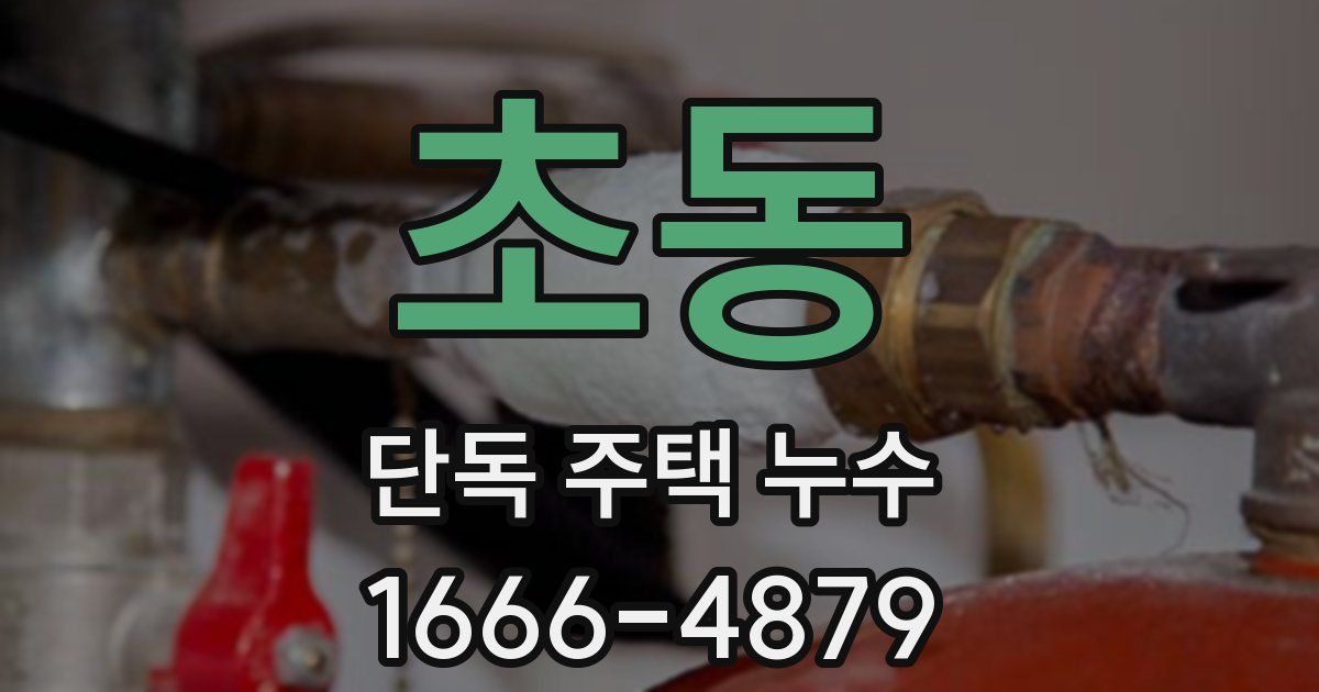 초동 단독 주택 누수