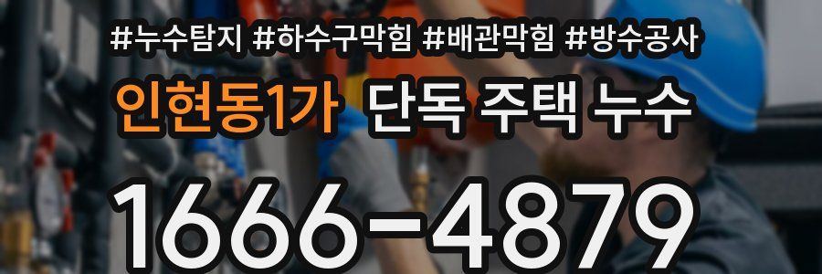 인현동1가 단독 주택 누수