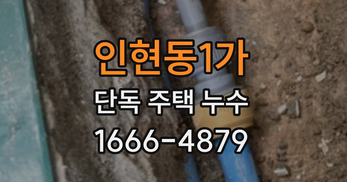 인현동1가 단독 주택 누수